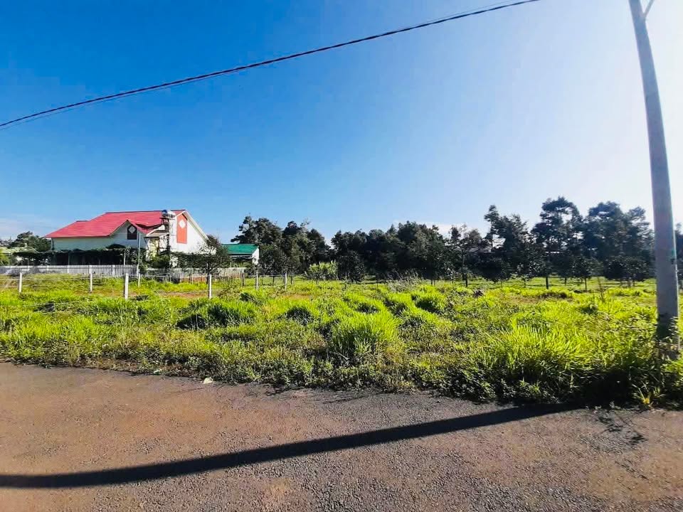 Đất thổ cư B'Lao 285m² giá 1.55 tỷ - Tiềm năng đầu tư cao!