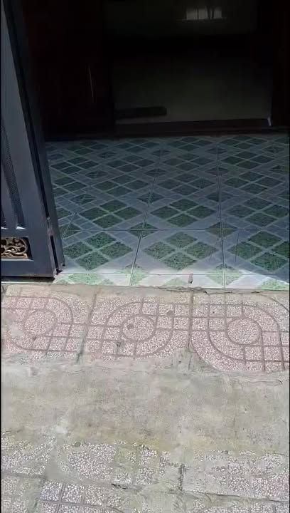 Nhà cho thuê Dĩ An 60m² giá 8 triệu - Mới sửa sang, tiện nghi đầy đủ!