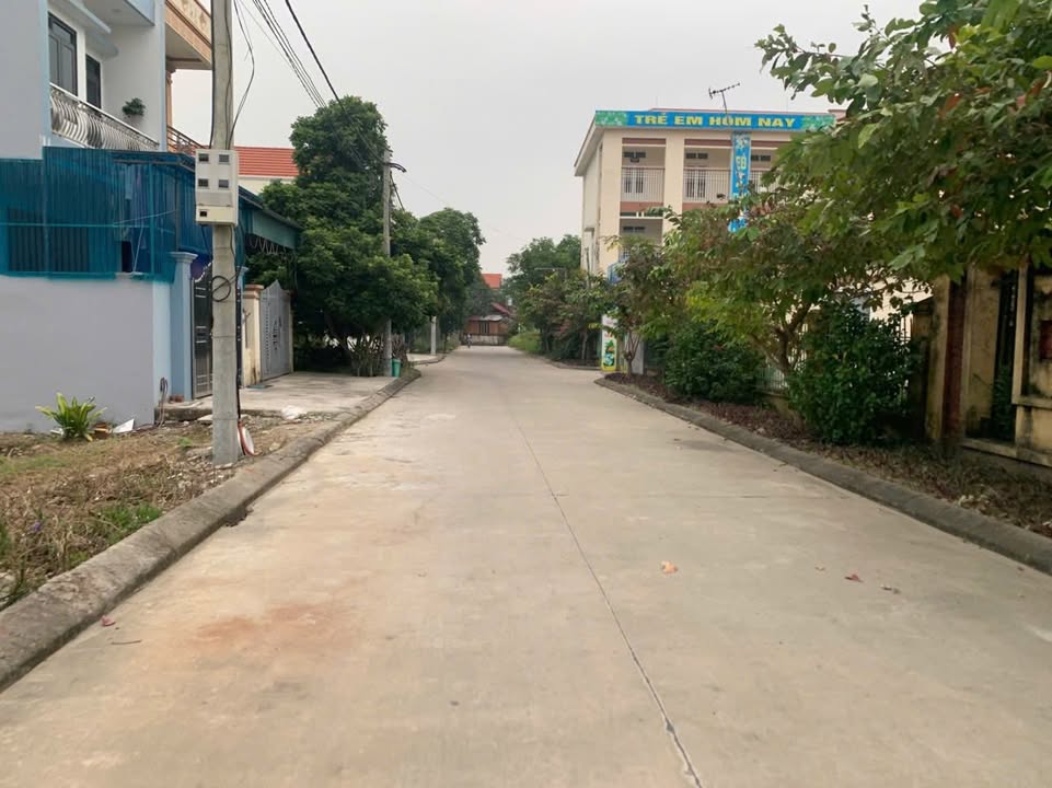 Đất đấu giá Tứ Kỳ 100m² giá thỏa thuận - Cơ hội đầu tư hiếm có!