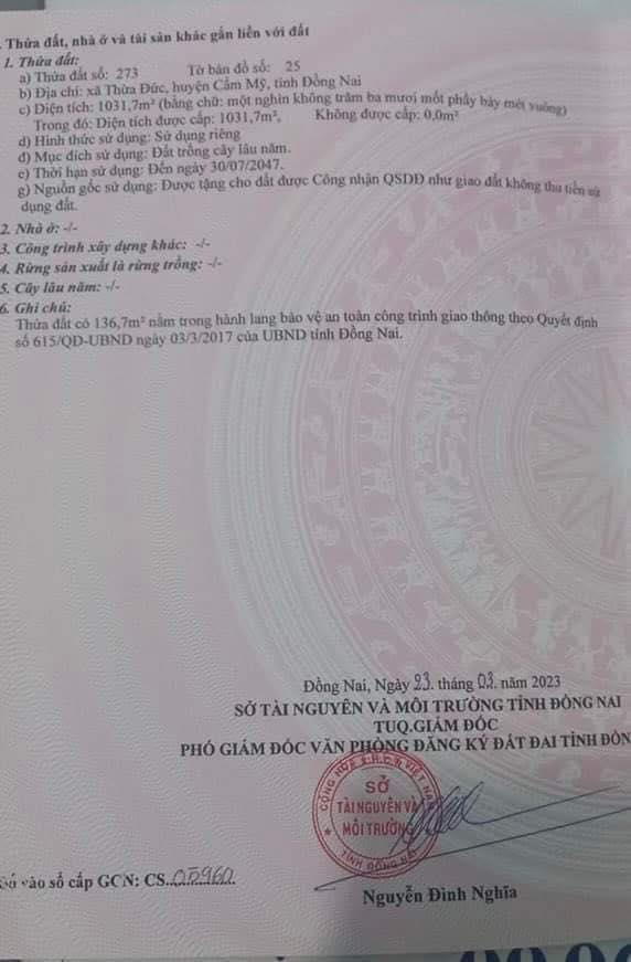 Đất nền 1031m² mặt tiền đường Xuân Đường, Cẩm Mỹ - Gần sân bay Long Thành!