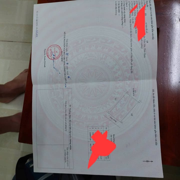 Đất thổ cư 120m² tại xã Vũ Lăng - Giá chỉ 900 triệu - Cơ hội hiếm có!