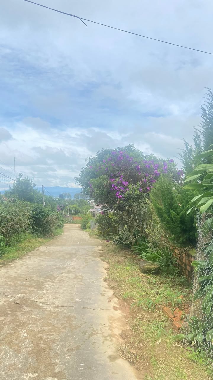 Đất thổ cư 532m² tại Đông Thanh, Lâm Hà với giá 960 triệu - Đầu tư sinh lời ngay!