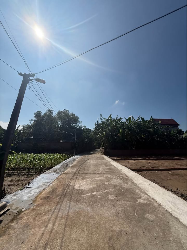 Đất nền Lương Tài Bắc Ninh 97m² giá 1 tỷ - Cơ hội đầu tư vàng!