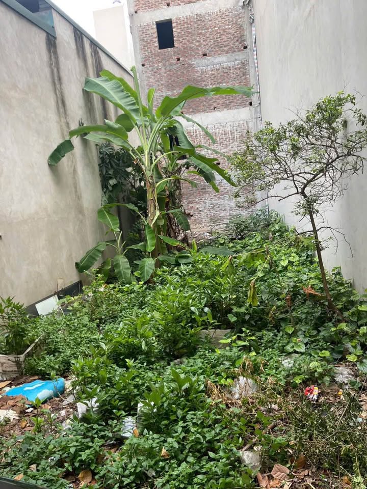 Đất nền Dương Nội 50m² - Vị trí đẹp, kinh doanh thuận lợi!