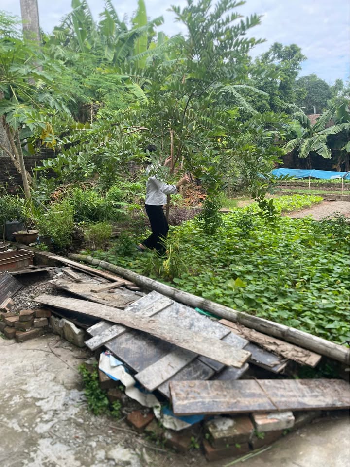 Đất đẹp Kim Hồ Lệ Chi Gia Lâm 129m² giá 4.65 tỷ - Tiềm năng tăng giá mạnh!