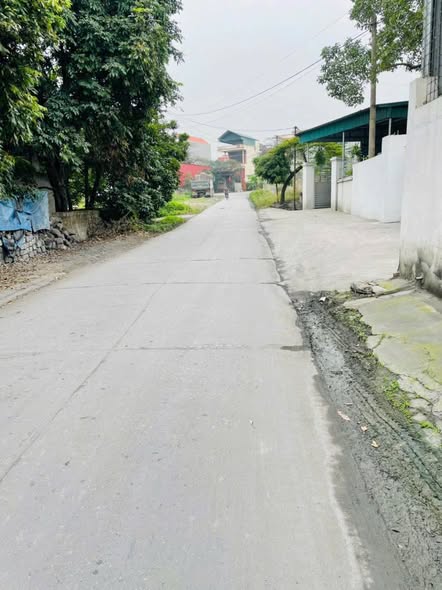 Đất nền Mạo Khê Đông Triều 79.6m² giá chỉ 5xx triệu - Bán gấp, pháp lý rõ ràng!