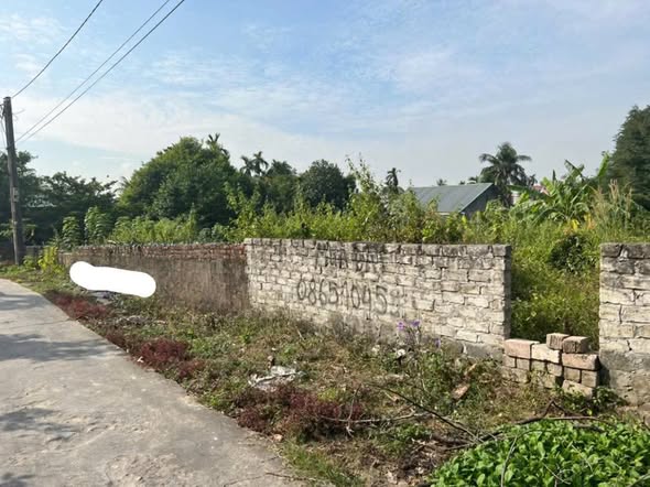 Đất Hồng Thái Tây Đông Triều 113m² - Đầu tư sinh lời ngay!