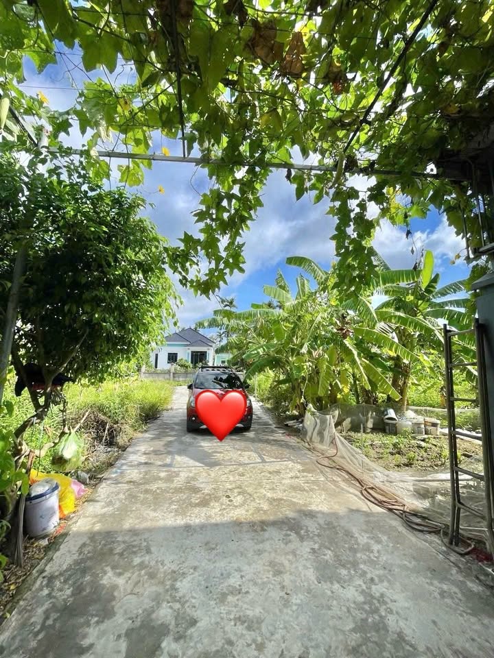 Đất nền Hòa Nghĩa, Dương Kinh 69.5m² giá 2.02 tỷ - Ô tô đỗ cửa, sổ hồng chính chủ!