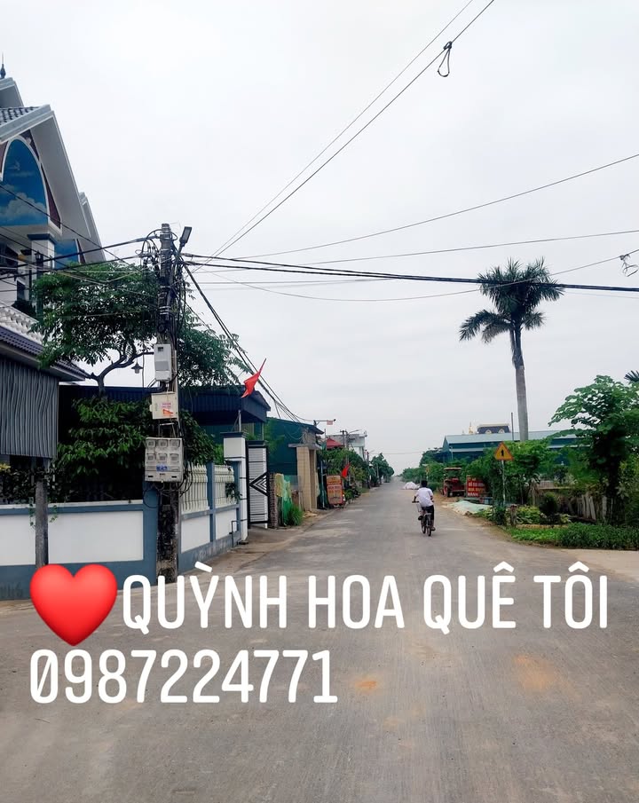 Đất nền Quỳnh Hoa, Quỳnh Phụ 100m² giá 1.1 tỷ - Cơ hội đầu tư lý tưởng!