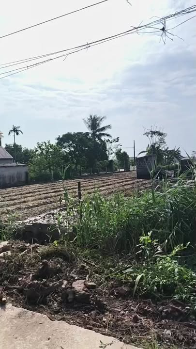 Đất nền khu phố 7, xã Nam Điền 80m² giá 1.3 tỷ - Đầu tư sinh lời ngay!