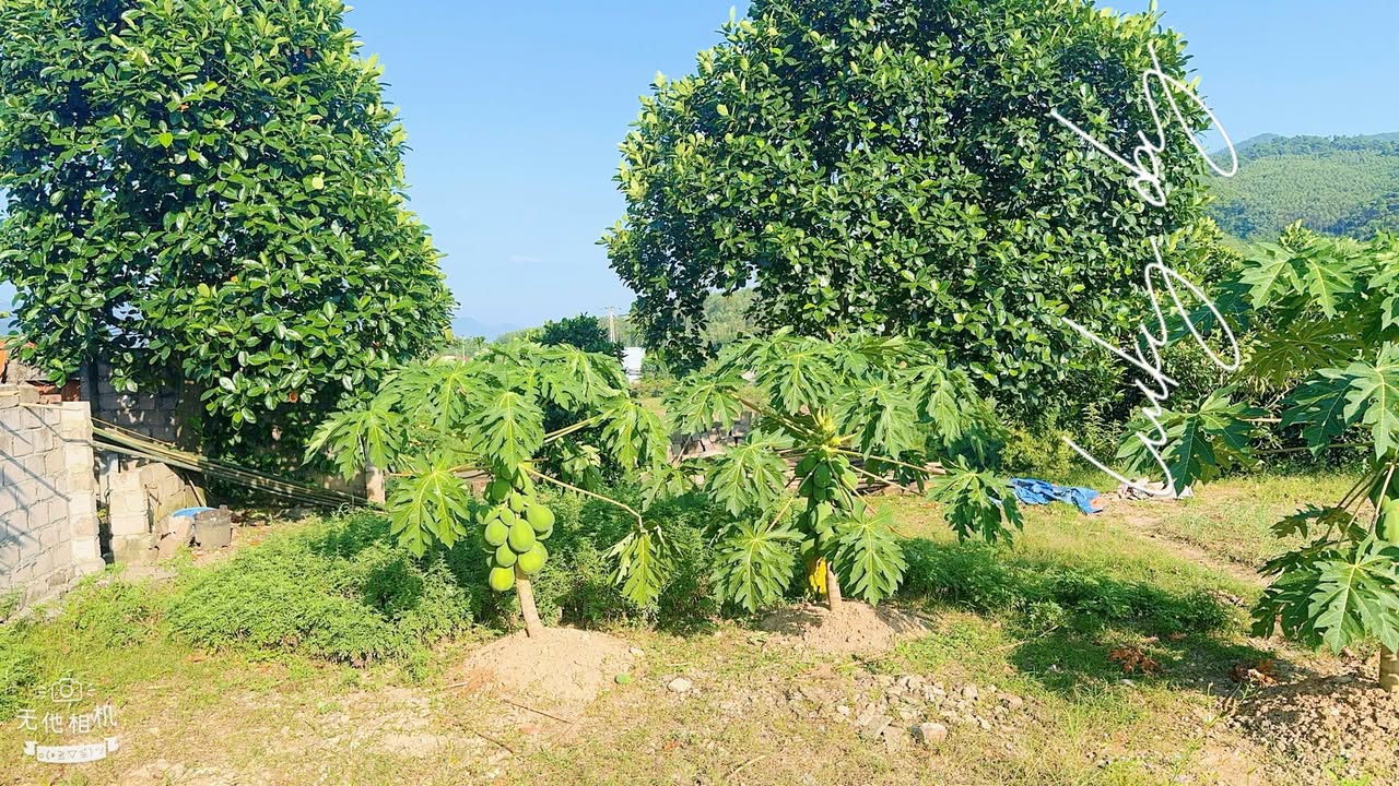 Đất nền Bình Khê, Đông Triều 499m² giá chỉ 1.3 tỷ - Cơ hội đầu tư hấp dẫn!