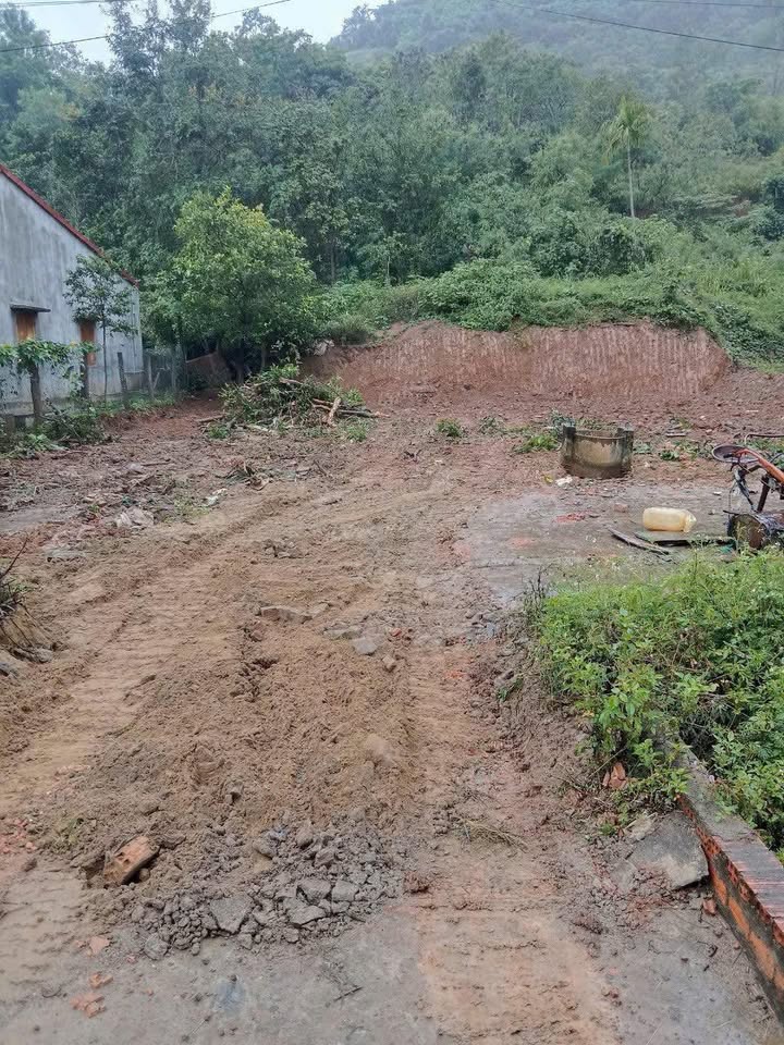 Đất thổ cư 440m² tại Tỉnh lộ 12, xã Hòa Phong - Giá chỉ 49 triệu/m² - Cơ hội đầu tư hấp dẫn!