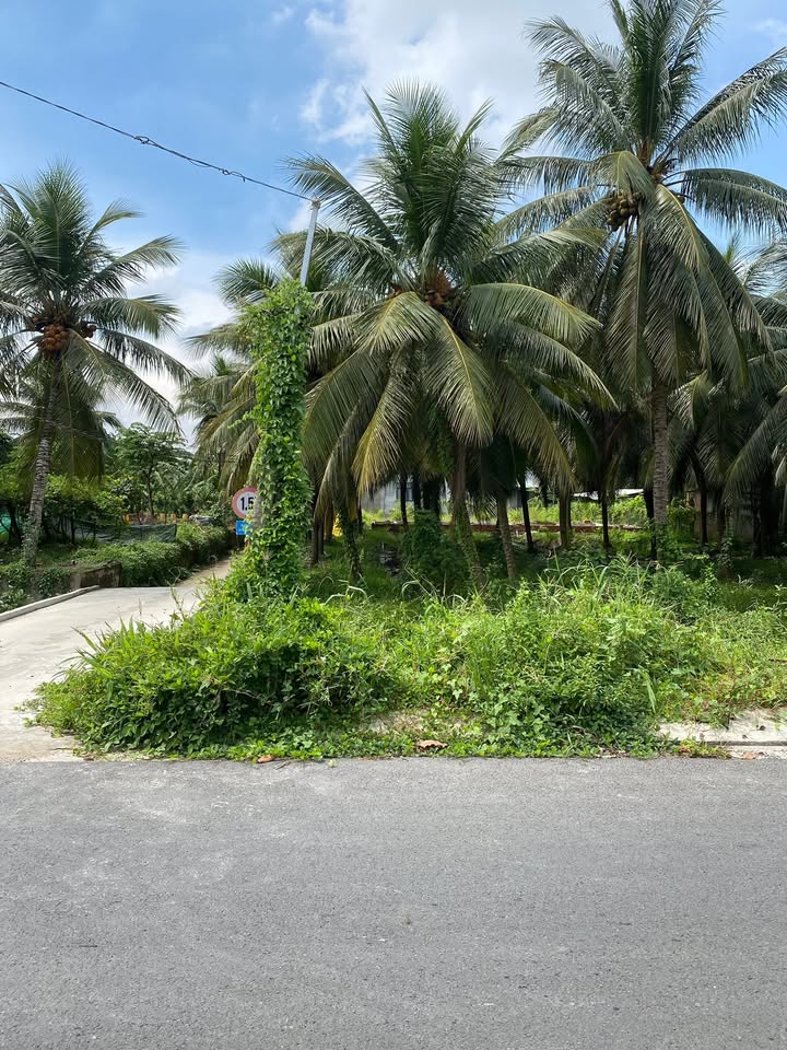 Đất mặt tiền đường 86B, Mỹ Phong, 197m² giá 1.3 tỷ - Đầu tư sinh lời ngay!