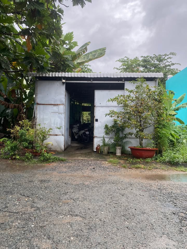 Đất mặt tiền nhựa KP Bình Tạo, Phường Trung An 100m² - Giá tốt thương lượng chính chủ!