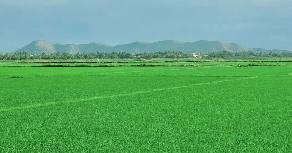 Nhà mặt tiền kinh doanh 3 Tháng 2, Q.10, 65.1m² giá 11.6 tỷ - Đầu tư sinh lời ngay!