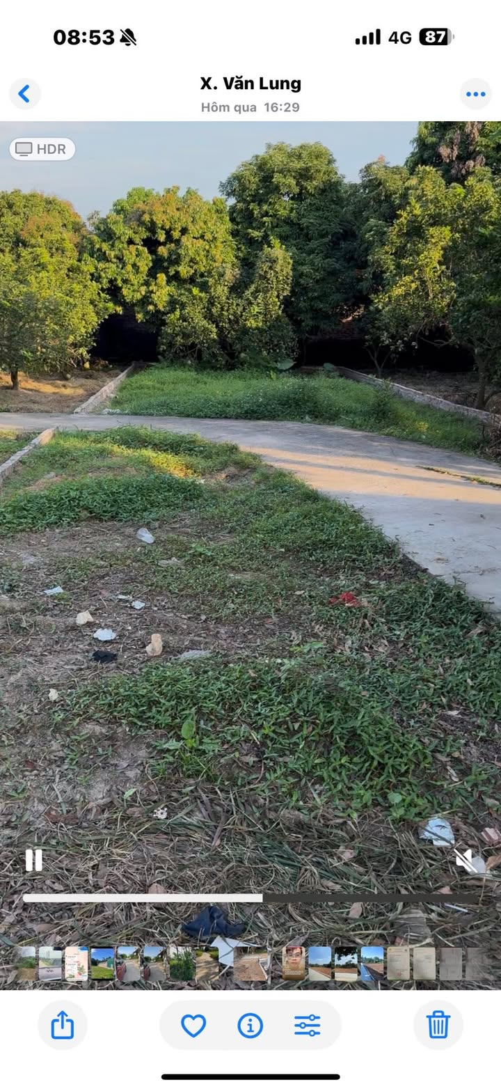 Đất nền Văn Lung, TX Phú Thọ 212m² giá 900 triệu - Đầu tư sinh lời tốt!