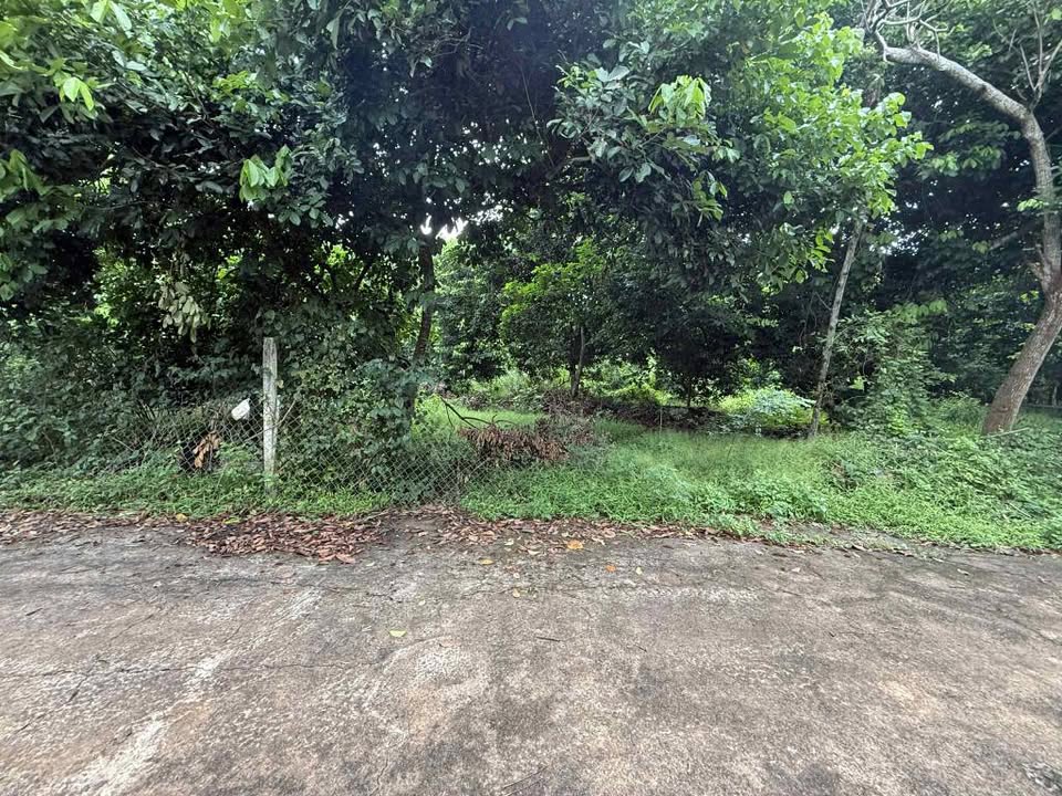 Đất nền Bình Lộc - Long Khánh 105m² giá 120 triệu - Cơ hội vàng cho nhà đầu tư