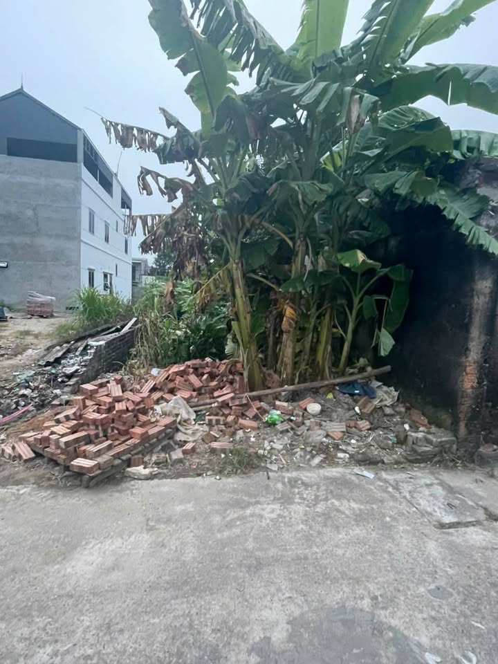 Đất thổ cư Phú Minh, Sóc Sơn 79m² - Vị trí đắc địa, sẵn sàng giao dịch!