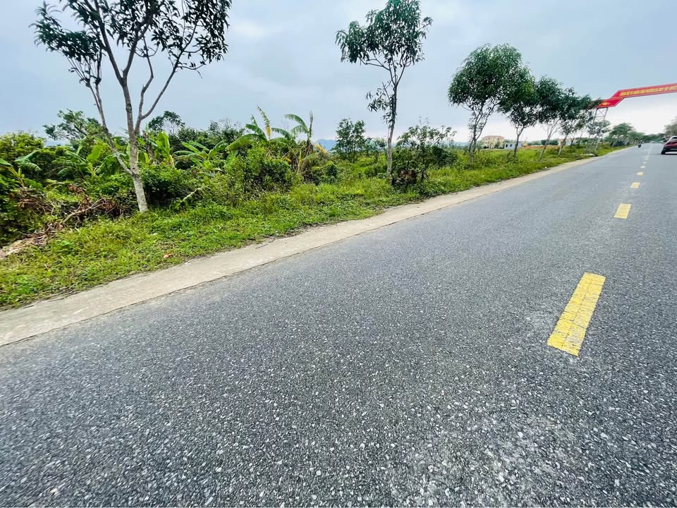 Đất nền Thôn Liên Hương, Thạch Đài, 100m² giá 2.2 tỷ - Đầu tư sinh lời lý tưởng!