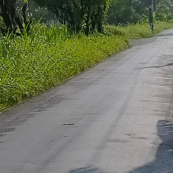 Đất mặt tiền đường HL97, Gò Công, Tiền Giang 159m² - Giá chỉ 1 tỷ!