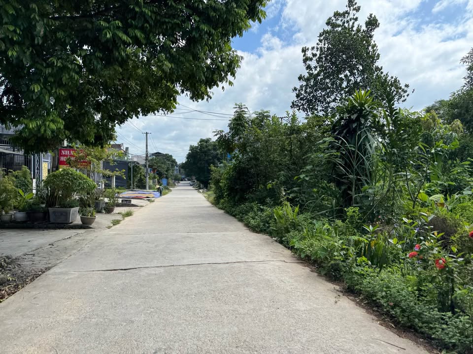 Đất nền liền kề tại TDP10 Trung Môn 200m² - Vị trí đắc địa gần Trường Cấp 3 Xuân Huy!