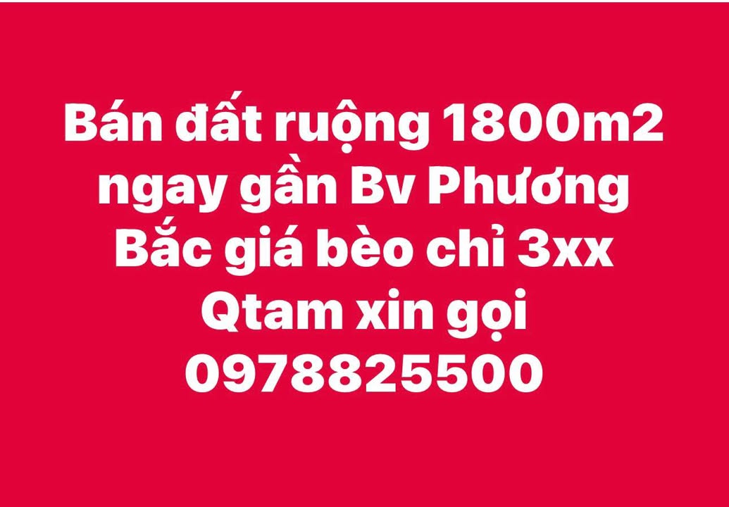 Đất ruộng 1800m² Phường Tân Hà, Tuyên Quang chỉ 300 triệu - Cơ hội đầu tư hấp dẫn!