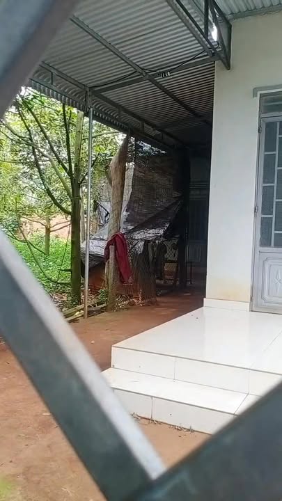 Nhà bán tại Krông Năng 374m² giá 1.2 tỷ - Cách chợ chỉ 200m!