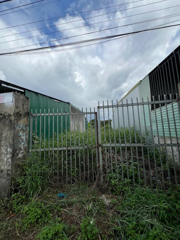 Đất thổ cư tại phường Thành Nhất, Buôn Ma Thuột 196m² giá 870 triệu - Cơ hội đầu tư tuyệt vời!