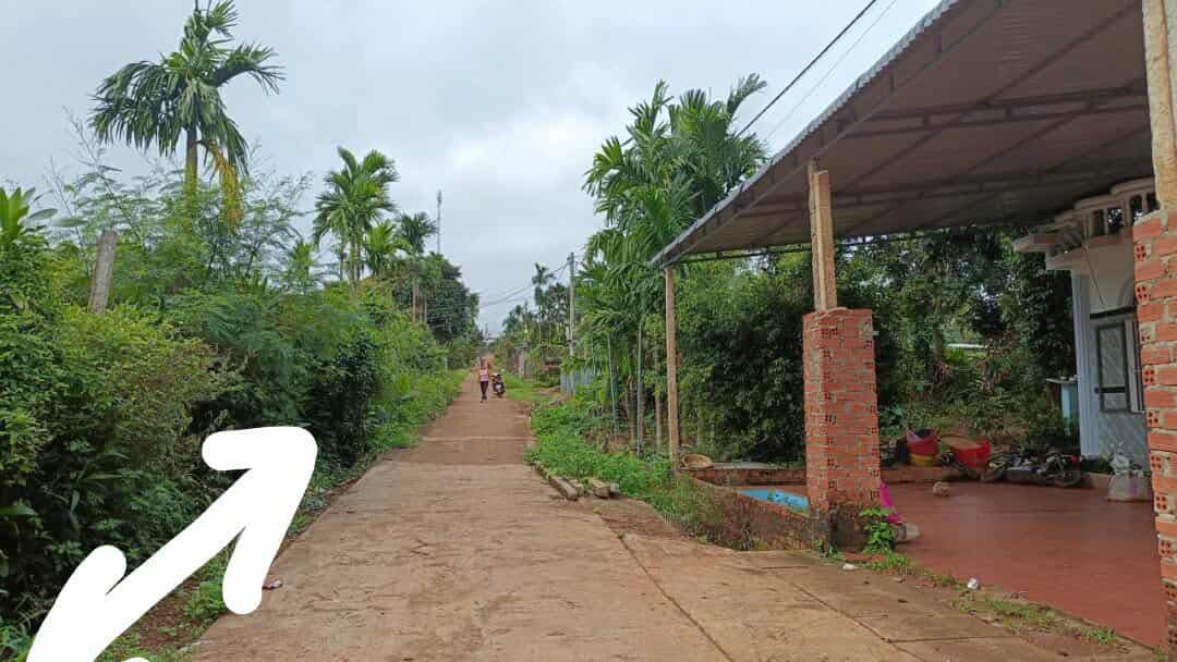 Đất thổ cư Phú Xuân 530m² giá chỉ từ 65 triệu - Đầu tư sinh lời ngay!