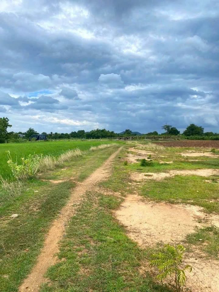 Đất nông nghiệp 5.500m² xã Thuận Hoà giá 650 triệu - Đầu tư sinh lời tuyệt vời!