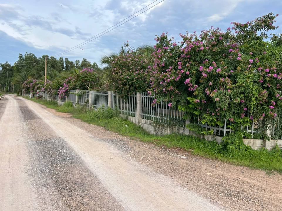 Farm 2ha tại xã Hàm Đức, Bình Thuận - Đất trang trại với đầy đủ tiện nghi