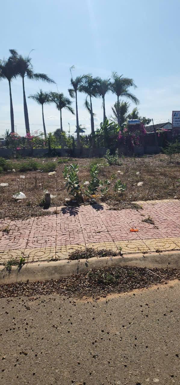 Bán đất dự án Nam An Eco Town 95m² giá 850 triệu - Gần Lotte Mart!