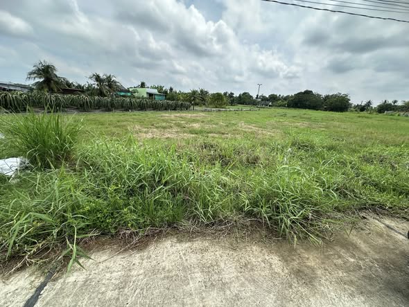 Lô đất thổ cư mặt tiền kênh 200m² xã Bình Tâm, Tân An - Giá chỉ 1.5 tỷ!