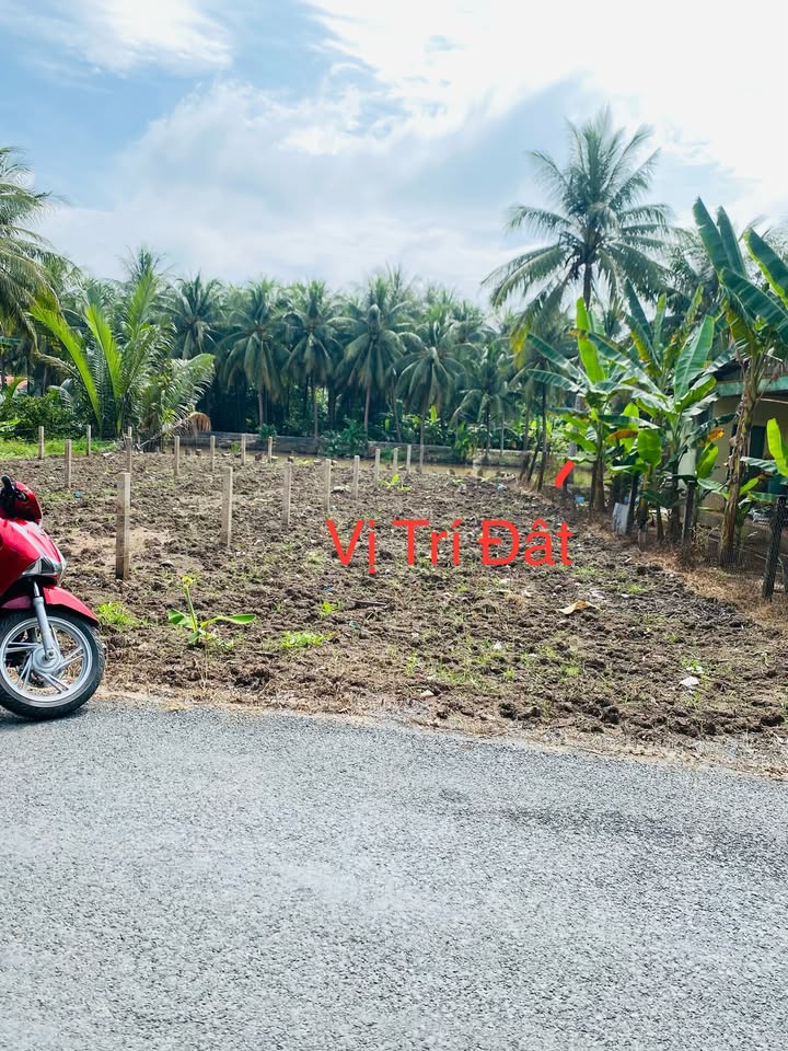 Đất nền Ấp Hòa Thành, Tiền Giang 250m² giá chỉ 325 triệu - View sông thơ mộng!