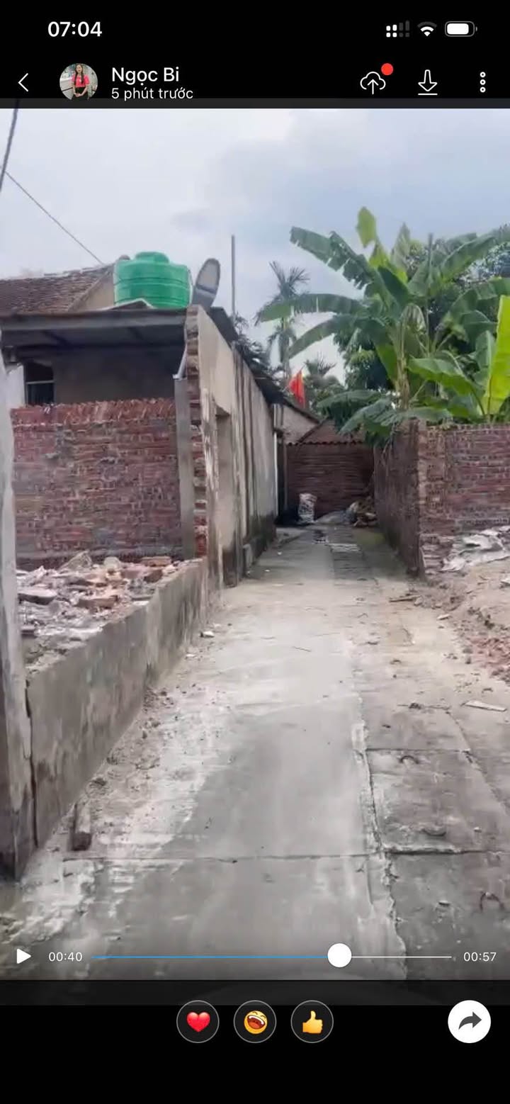 Đất nền Dũng Liệt, Yên Phong 113m² giá chỉ 1.2 tỷ - Cơ hội đầu tư hiếm có!