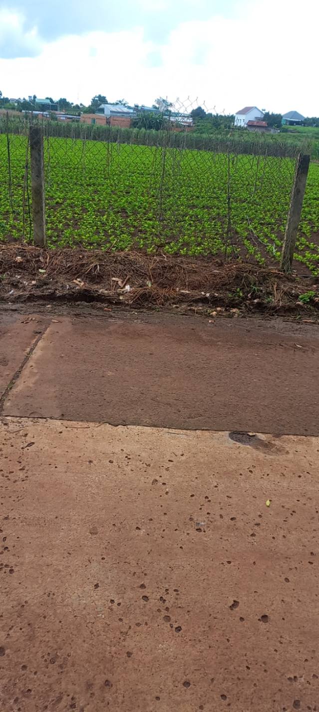 Đất thổ cư 600m² tại xã Tân Hội, Đức Trọng, Lâm Đồng giá 1.7 tỷ - Cơ hội đầu tư hấp dẫn!