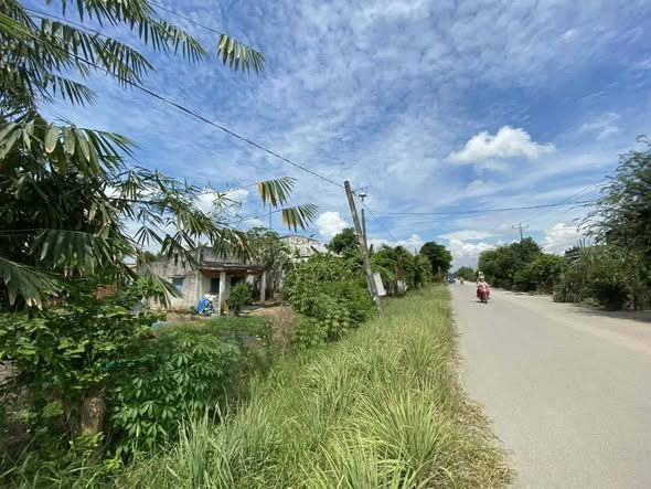Đất mặt tiền đường Nhựa, Hiệp Hòa, Đức Hòa, Long An 1200m² - Khu dân cư đông đúc!