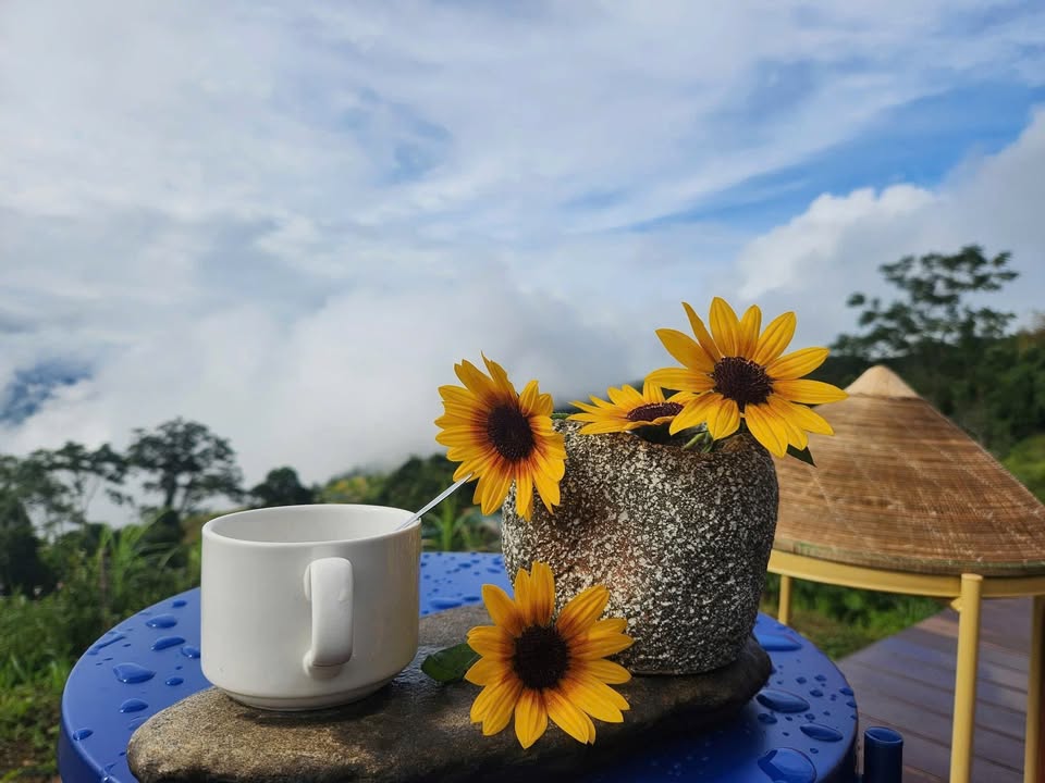 Đất nền trung tâm Na Hang 245m² - Kinh doanh thuận lợi, giá thương lượng!