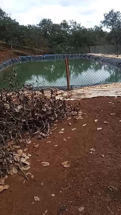 Đất nông nghiệp Đăk Ơ Bù Gia Mập 30.000m² - Đầu tư sinh lời từ cà phê!