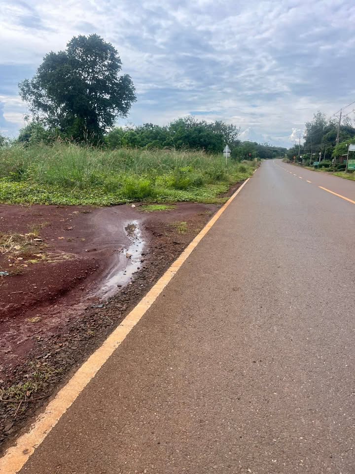 Đất nền kinh doanh đẹp tại Đồng Tâm, Đồng Phú 300m² chỉ 400 triệu - Cơ hội đầu tư hấp dẫn!