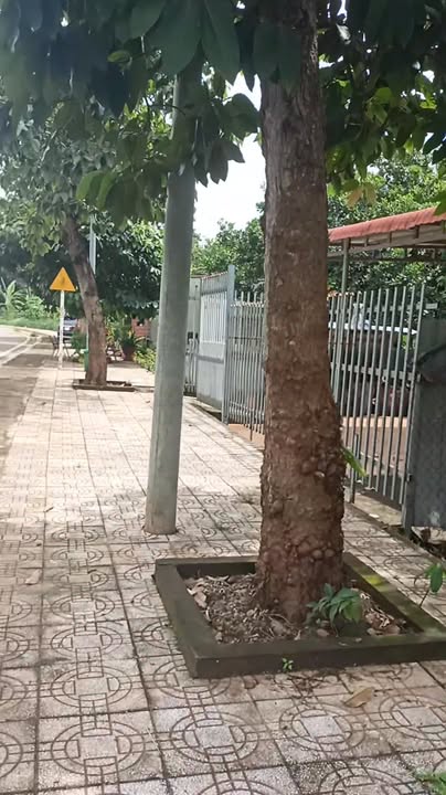 Đất nền Đồng Xoài 500m² giá 2.5 tỷ - Sổ đỏ chính chủ!