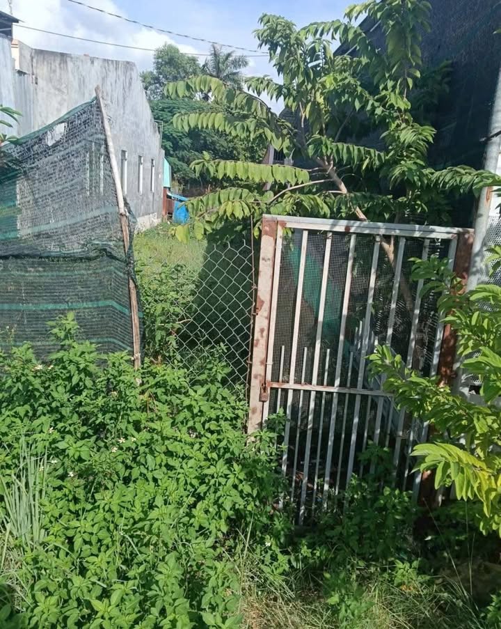 Đất Hiệp Ninh 300m² giá 300 triệu - Đầu tư sinh lời ngay!