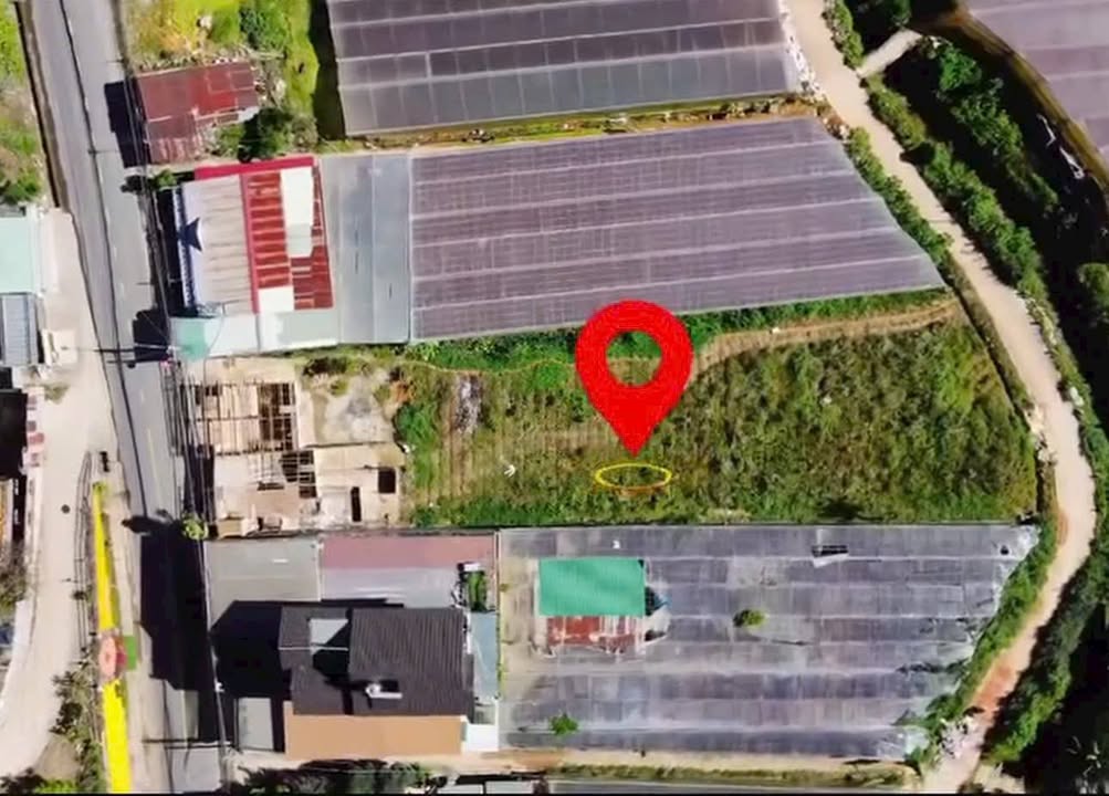 Đất mặt tiền đường Triệu Việt Vương, Đà Lạt 1213m² giá 45 tỷ - Cơ hội đầu tư tuyệt vời!