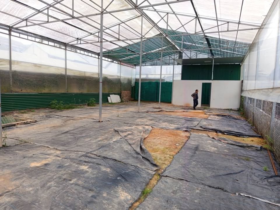 Cho thuê kho xưởng 300m² đường Tô Hiệu Đà Lạt - Cơ hội đầu tư sinh lời!