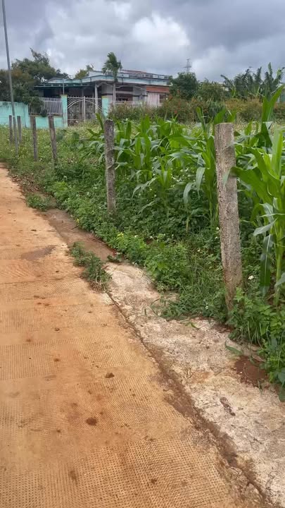 Đất nền thôn 9a Pơng Drang 300m² giá 2.1 tỷ - Cơ hội đầu tư tuyệt vời!