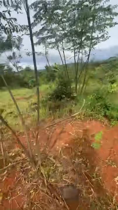 Đất nền 8ha tại xã Ia Pia, huyện Chư Prông - Giá 6 tỷ, pháp lý rõ ràng!