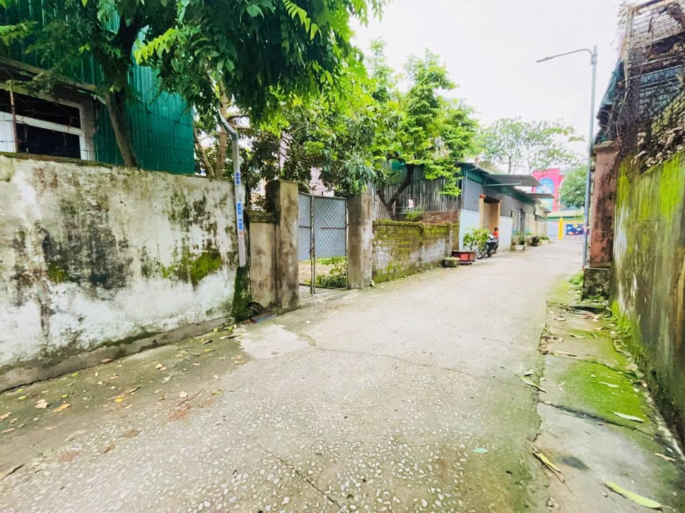 Bán đất Đông Vĩnh - Ngõ Nam Cao 78.3m² giá 2.78 tỷ - Hướng Đông Nam hiếm có!