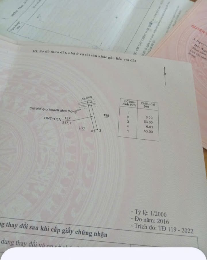 Đất kinh doanh mặt tiền trục 9, Nam Đà 318m² giá 870 triệu - Cơ hội đầu tư hấp dẫn!