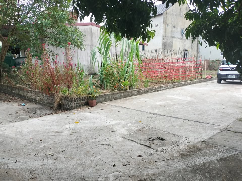 Đất nền khu phố Đức Hiệp - 52m² giá 1 tỷ - Sổ đỏ chính chủ, ô tô vào tận nơi!