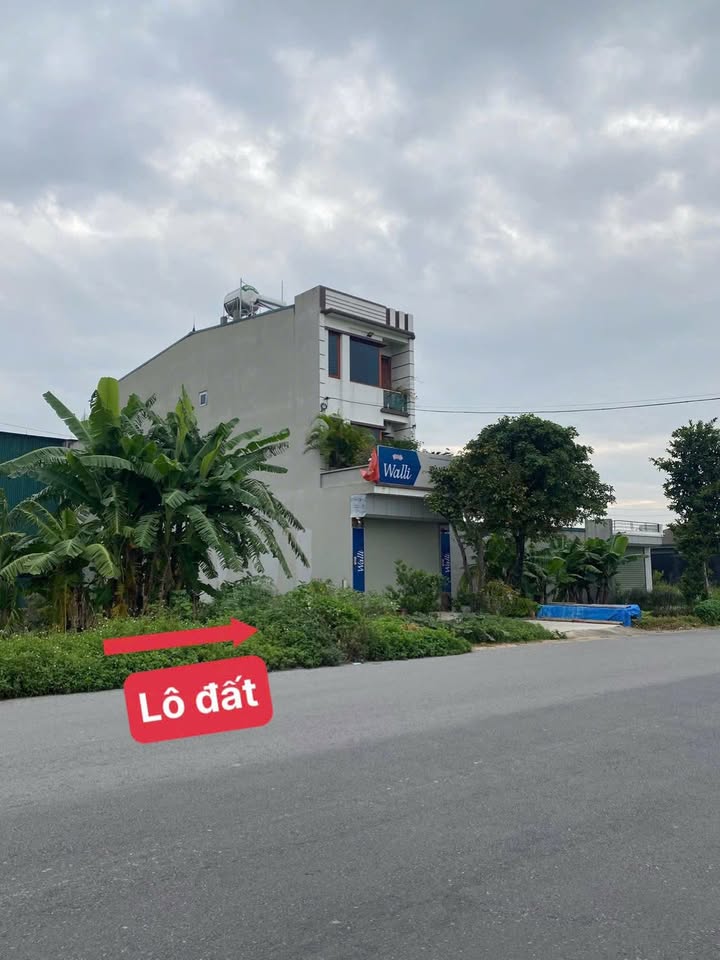 Đất kinh doanh trục chính tỉnh lộ 305, Duy Phiên, Tam Dương 100m² giá 4.1 tỷ - Tiềm năng sinh lời cao!